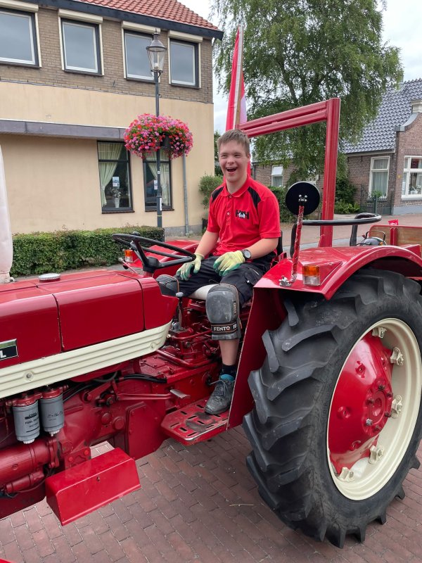 afbeelding van 